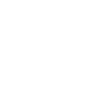 InsCoder_Dior