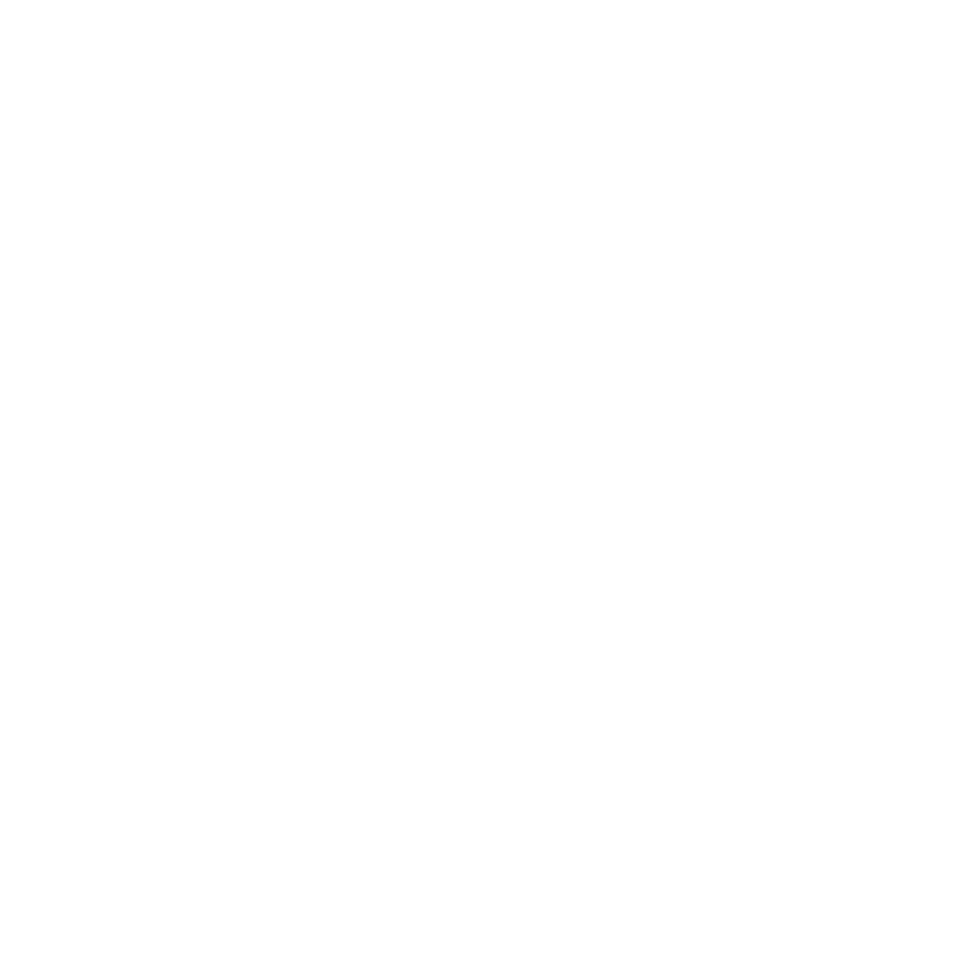 InsCoder_Shopify Plus