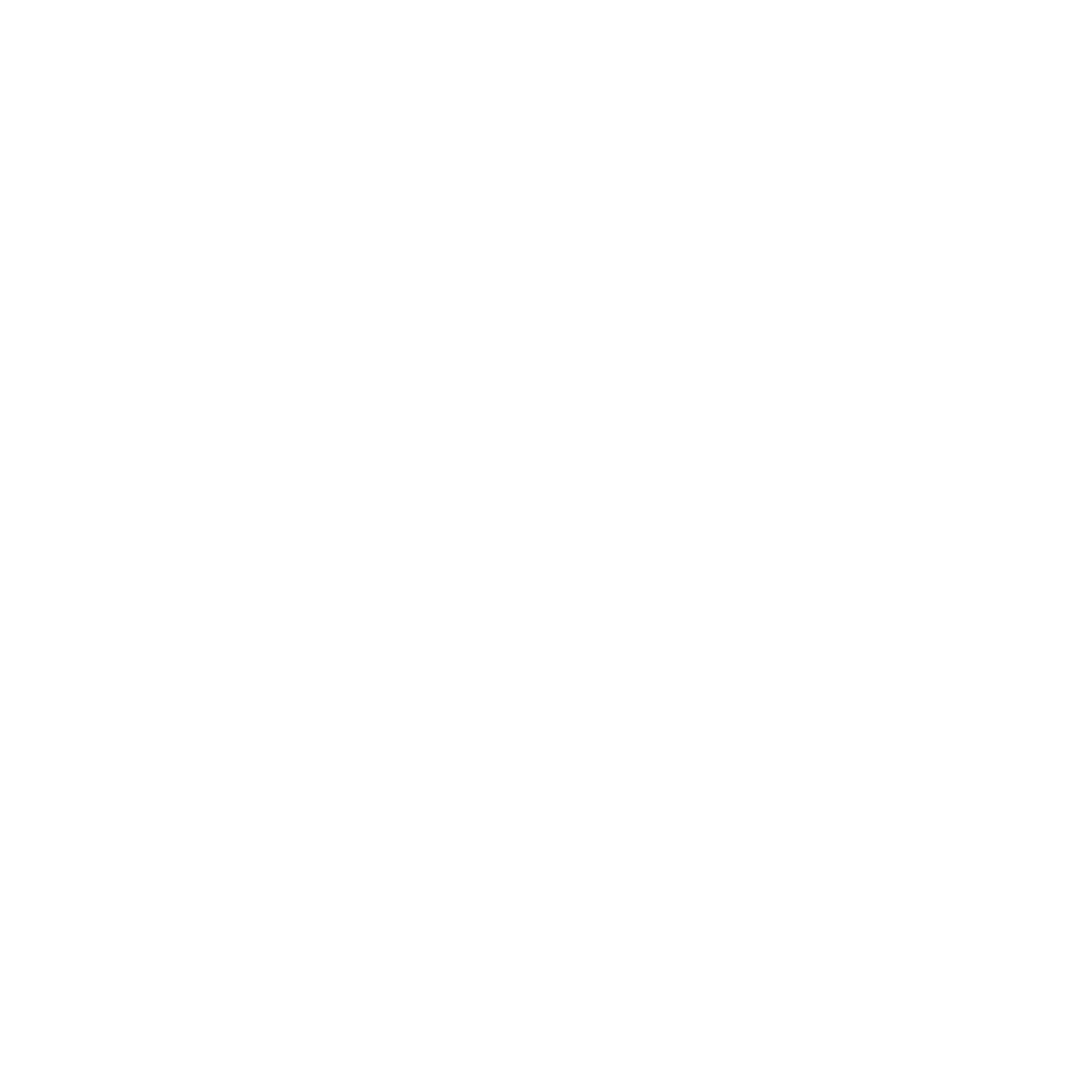 InsCoder_Shopify